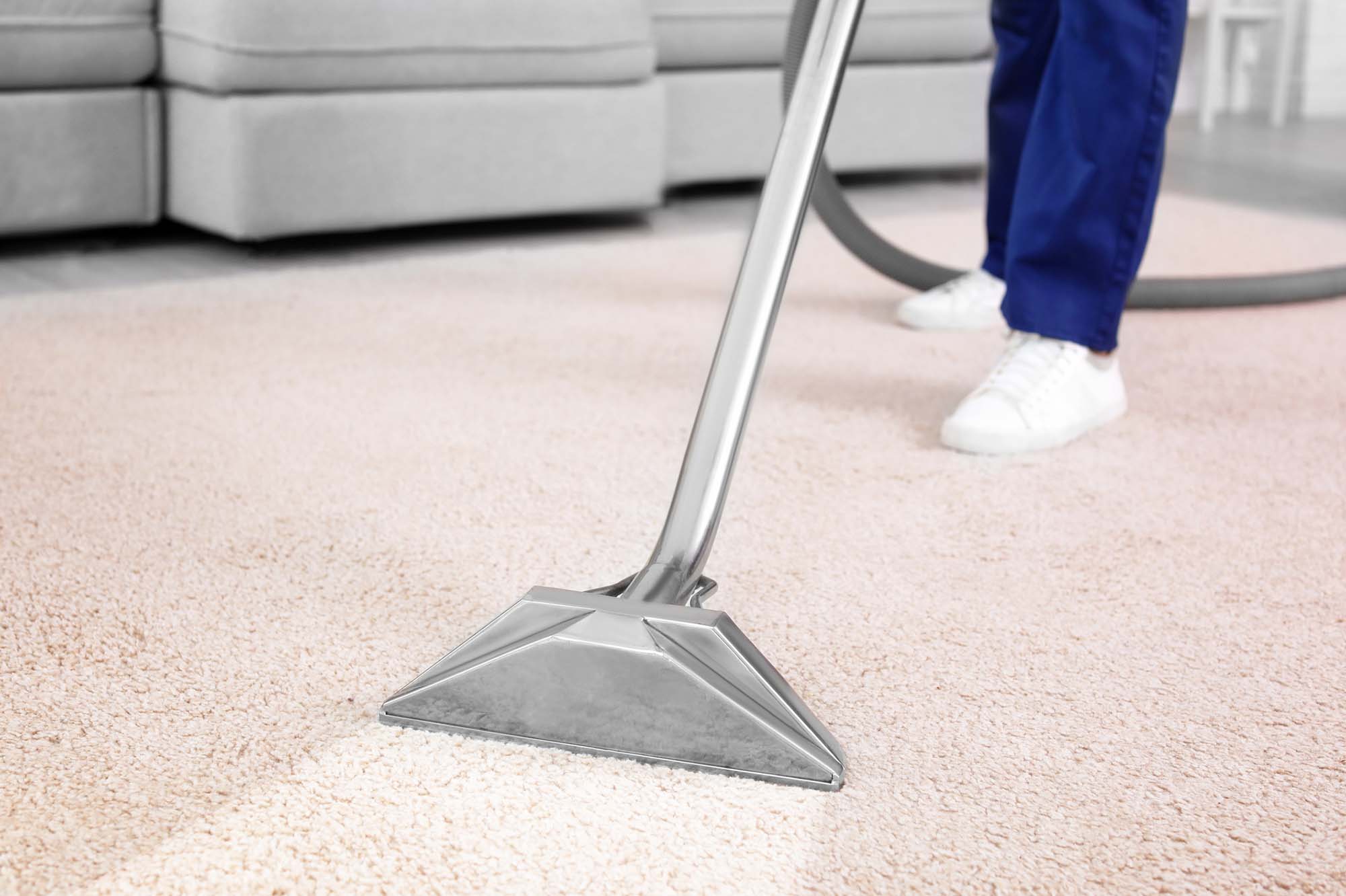 Worker removing dirt from carpet indoors, closeup. Cleaning service