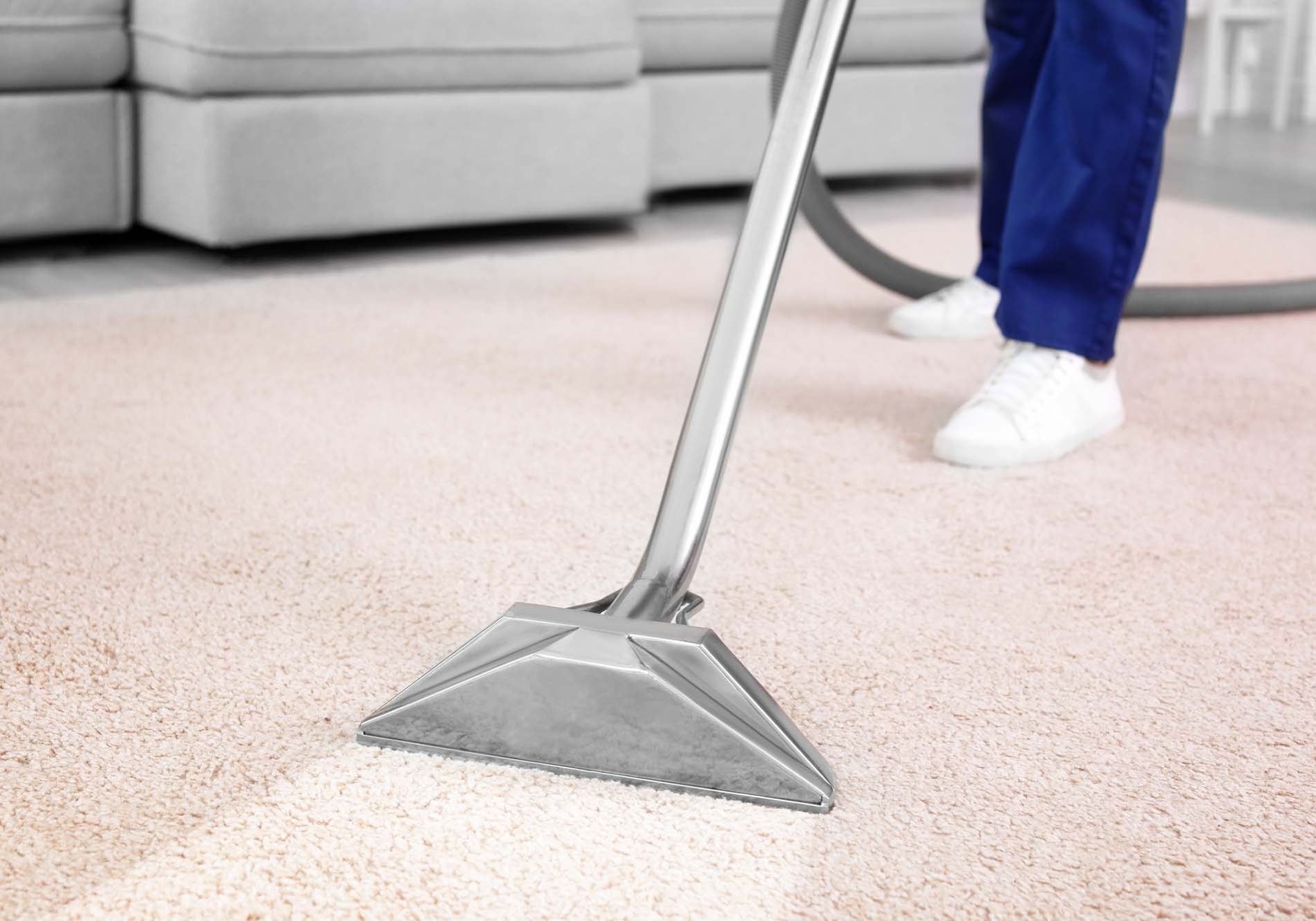 Worker removing dirt from carpet indoors, closeup. Cleaning service